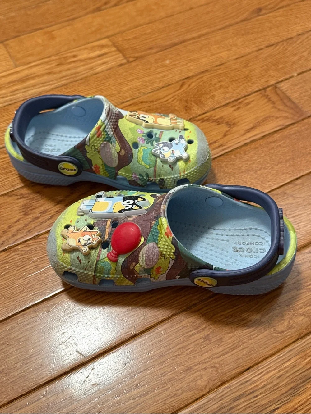 Bluey Cartoon Slip-On Clogs crocs C9